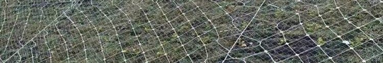 Grille product photo showing the product structure