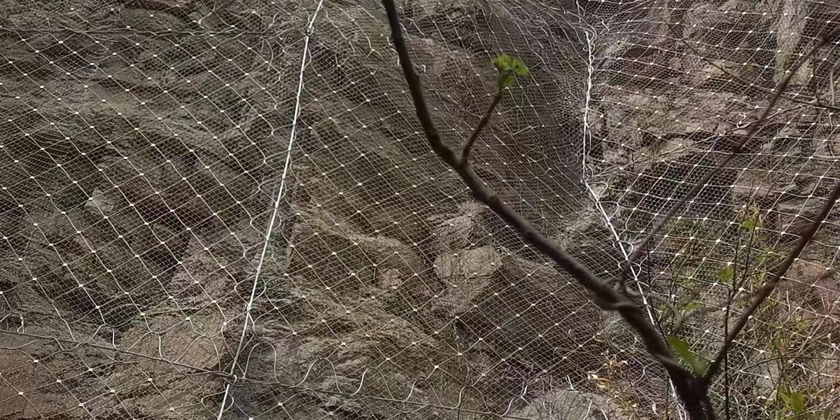 Chain Link Slope Protection Net product image showing structure and appearance