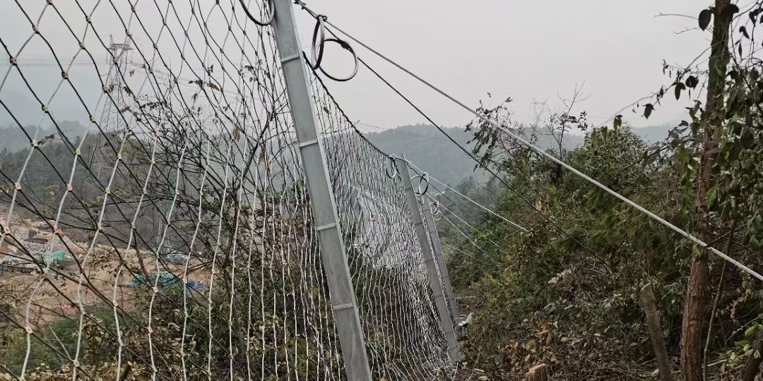 Passive Slope Protection Net product image showing structure and appearance