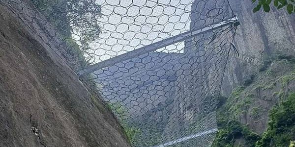 Ring Net product image showing structure and appearance