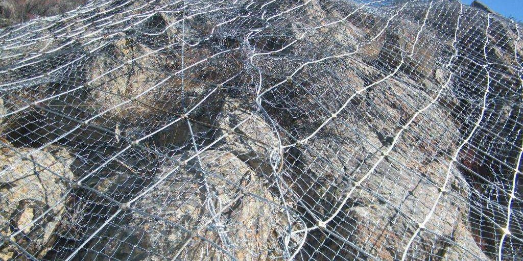 Spider Type Protection Net product image showing structure and appearance